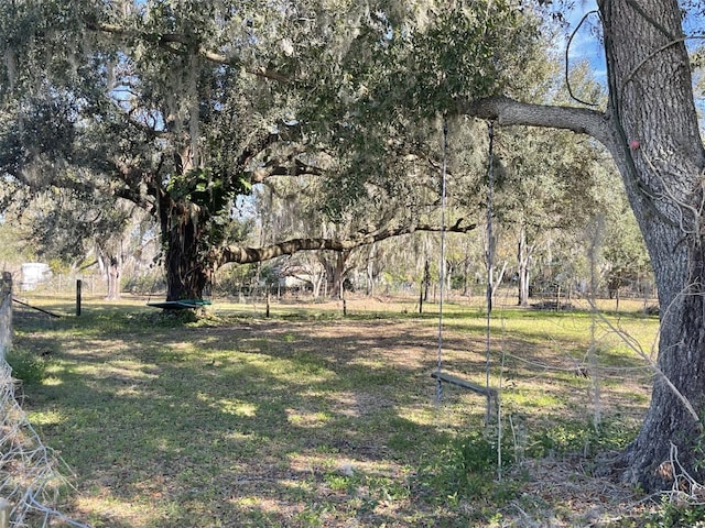 6614 Papa Guy Ln, Plant City, FL 33565 - photo 19