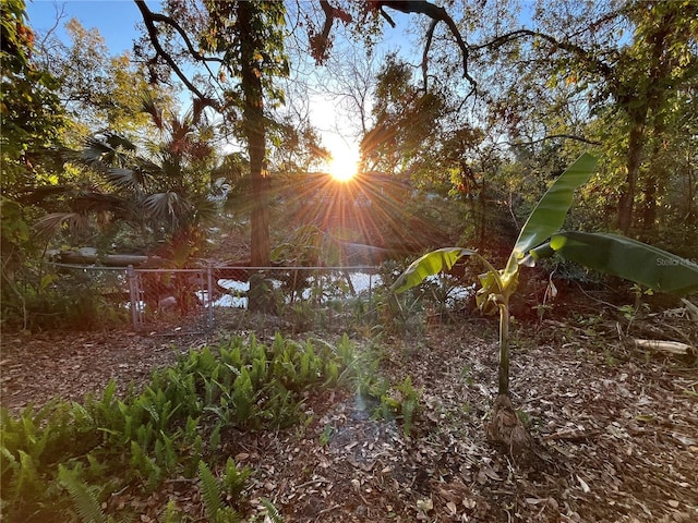 view of local wilderness