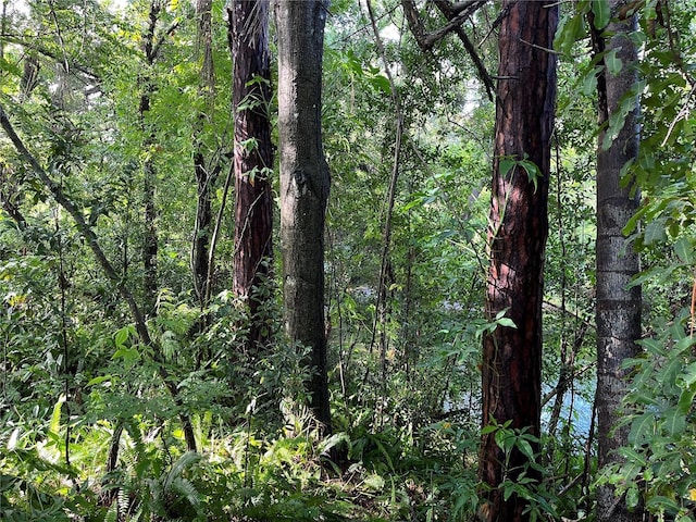 view of nature featuring a forest view