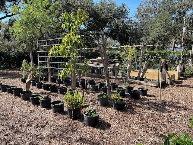 exterior space featuring a vegetable garden