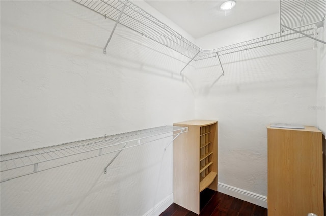 walk in closet with wood-type flooring