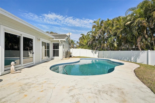 view of pool with a patio area