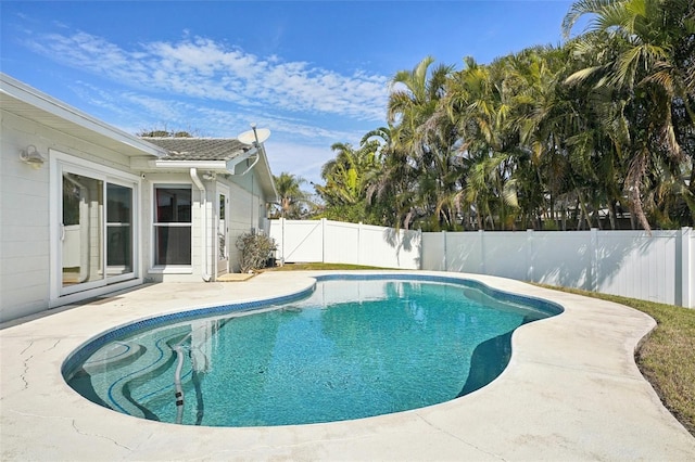 view of pool with a patio