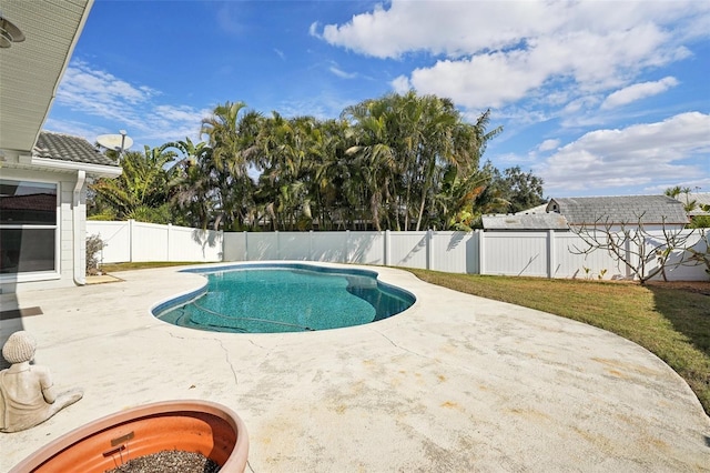 view of swimming pool with a patio