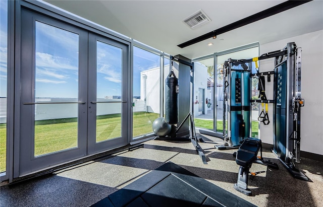 exercise area featuring french doors, a wall of windows, and a wealth of natural light