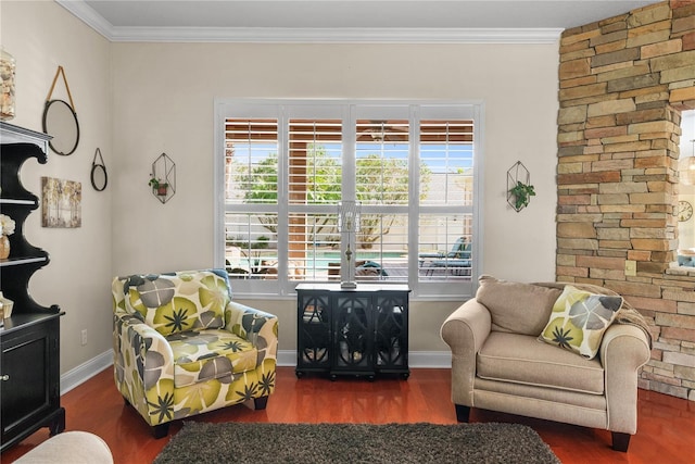 living area featuring dark wood-type flooring and ornamental molding