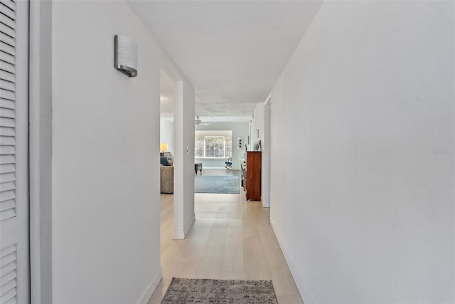 hall featuring light hardwood / wood-style floors