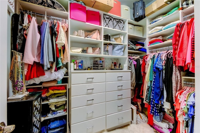 view of spacious closet