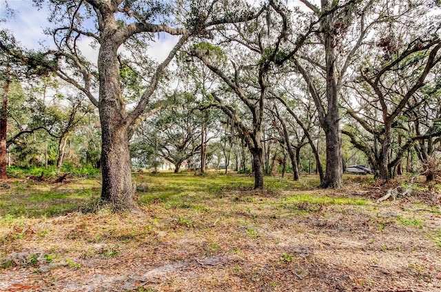 view of local wilderness