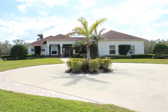 view of front facade with curved driveway, a front lawn, and stucco siding