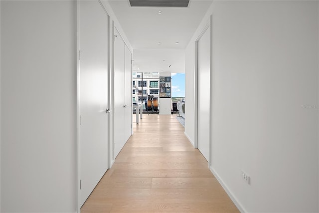 1000 Water St Unit 1002, Tampa, FL 33602 - hall with light hardwood / wood-style floors and expansive windows
