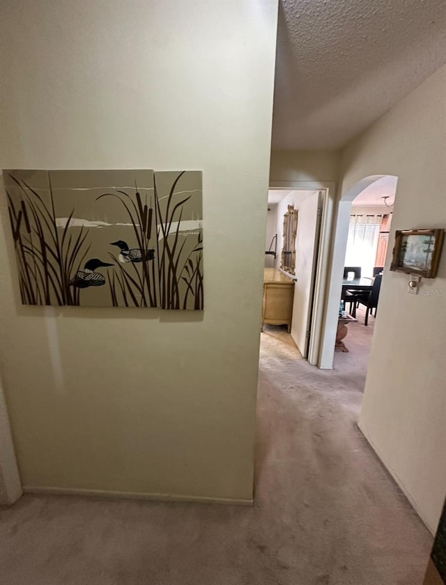 corridor featuring carpet and a textured ceiling