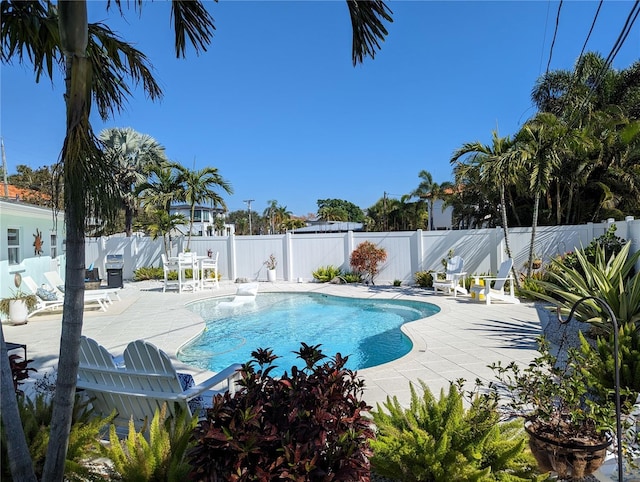 view of swimming pool featuring a patio area