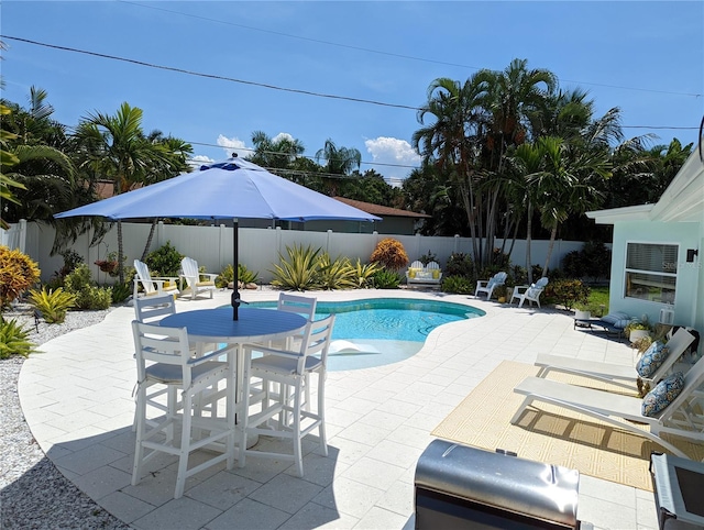 view of swimming pool with a patio area