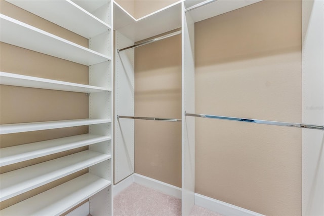 walk in closet with carpet floors