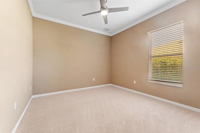 unfurnished room featuring ceiling fan, ornamental molding, and carpet floors