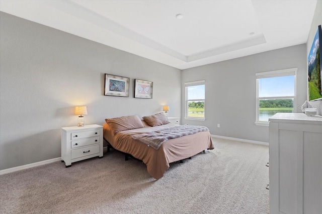 carpeted bedroom with a tray ceiling