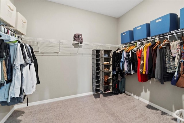 spacious closet featuring carpet floors