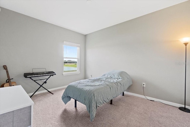 bedroom with light carpet