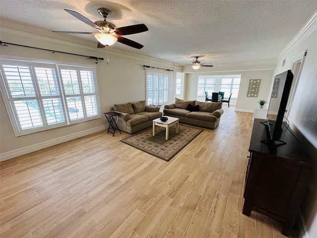 living room featuring light hardwood / wood-style flooring, crown molding, plenty of natural light, and a textured ceiling