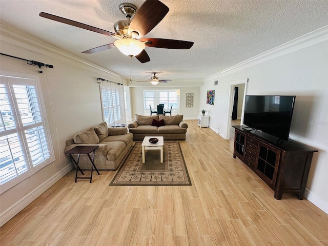 living room featuring crown molding, a textured ceiling, and light hardwood / wood-style flooring