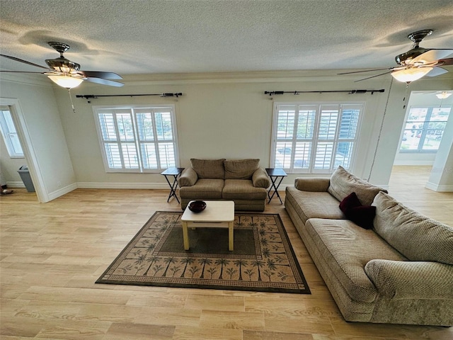 living room with ceiling fan, ornamental molding, light hardwood / wood-style flooring, and a textured ceiling