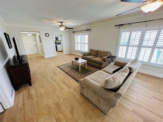 living room featuring crown molding, a wealth of natural light, a textured ceiling, and light wood-type flooring