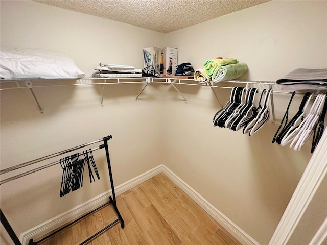 walk in closet featuring hardwood / wood-style flooring