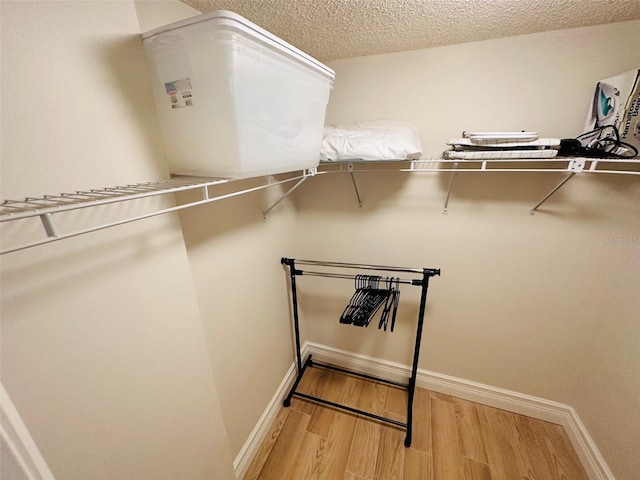 walk in closet featuring light hardwood / wood-style flooring