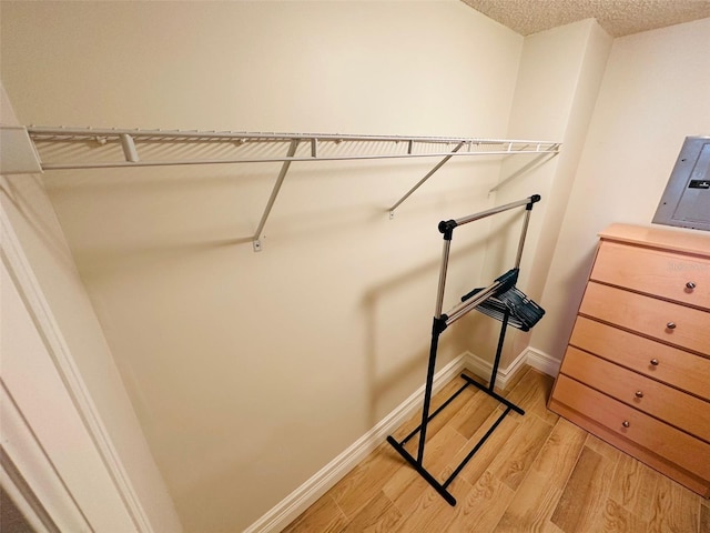 walk in closet featuring electric panel and light wood-type flooring