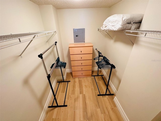 spacious closet with electric panel and light hardwood / wood-style floors