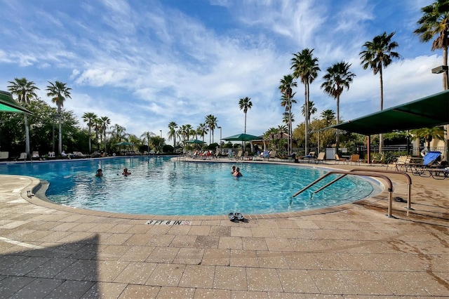 view of pool featuring a patio area