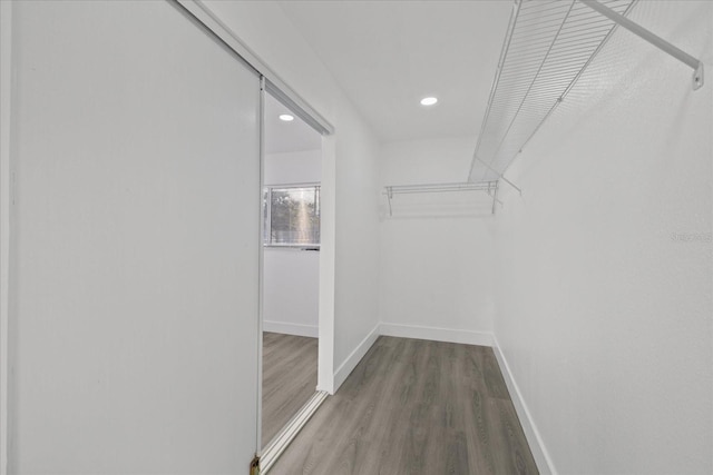 spacious closet with wood-type flooring