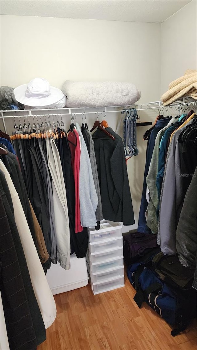 spacious closet featuring hardwood / wood-style floors