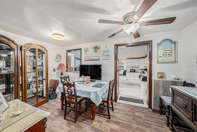 dining space with ceiling fan, hardwood / wood-style floors, and a textured ceiling