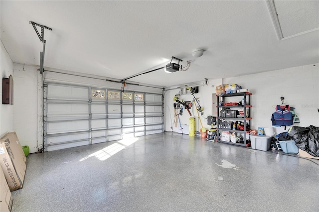 garage with a garage door opener