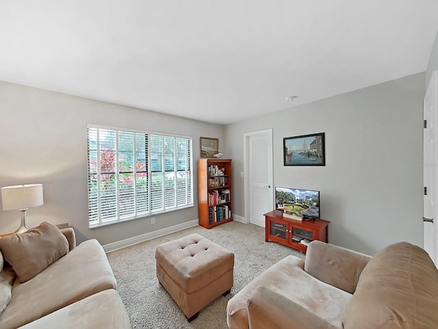 living room featuring light colored carpet