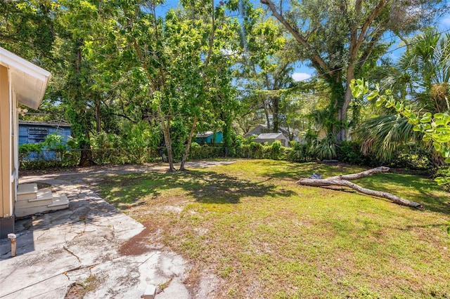 view of yard featuring a patio