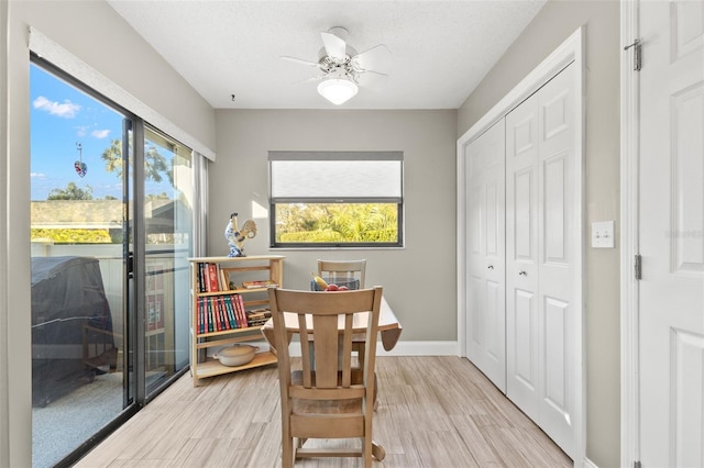 dining room featuring ceiling fan, a textured ceiling, and light hardwood / wood-style flooring