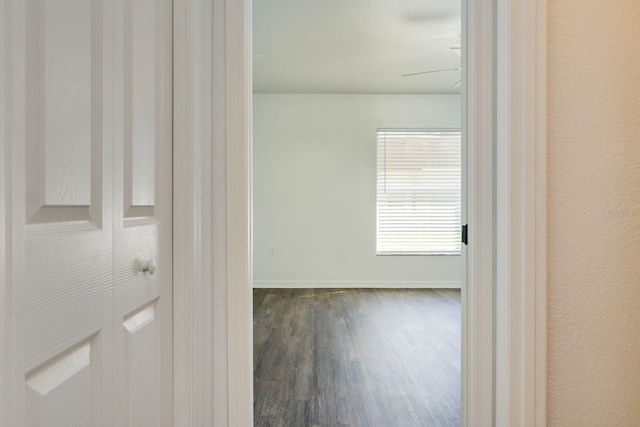 corridor featuring dark hardwood / wood-style flooring