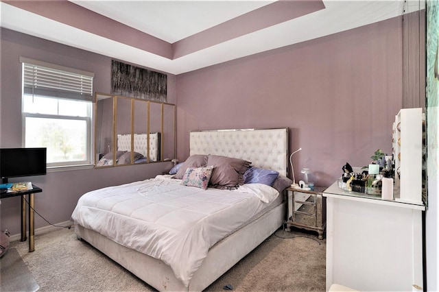 bedroom with a tray ceiling