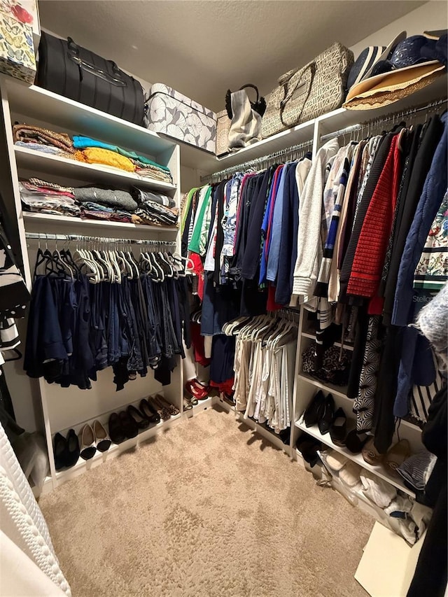 walk in closet with carpet flooring