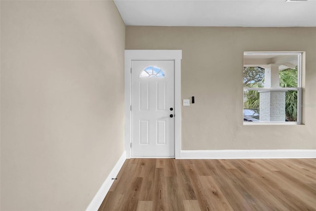 entrance foyer with light hardwood / wood-style flooring