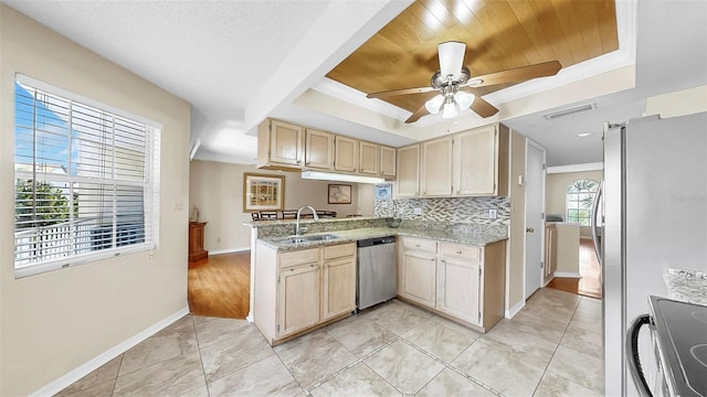 kitchen featuring a raised ceiling, a sink, stainless steel appliances, and a peninsula