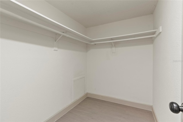 walk in closet featuring hardwood / wood-style flooring