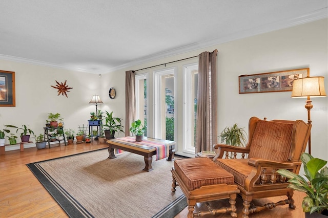 living area featuring hardwood / wood-style flooring and crown molding