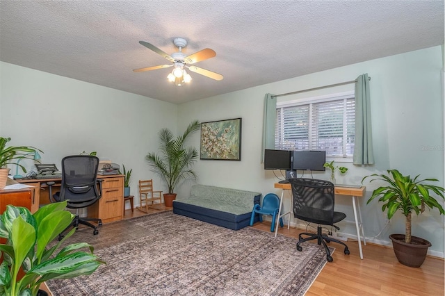 home office with ceiling fan, a textured ceiling, and light hardwood / wood-style flooring