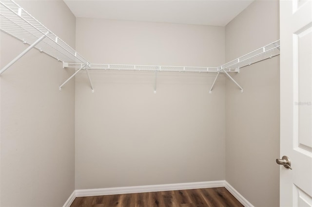 walk in closet with dark hardwood / wood-style flooring