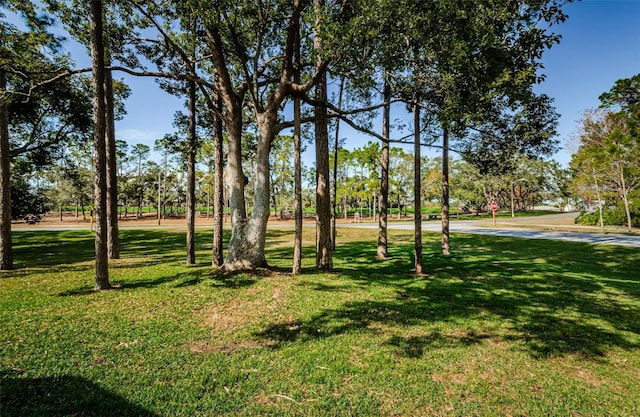 view of community with a lawn