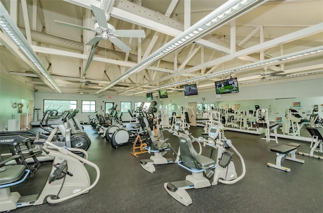 workout area with ceiling fan